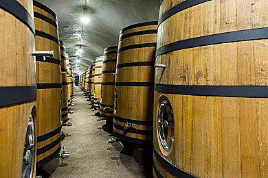 《星刃》官方分享超美壁纸：渡鸦躺平展示好身材